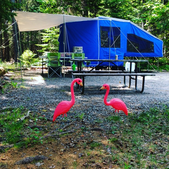 camping, blackwoods campground, Acadia, Time Out Trailer